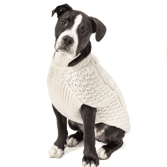 Chilly Dog Natural Cable Knit Wool Sweater - Image 3