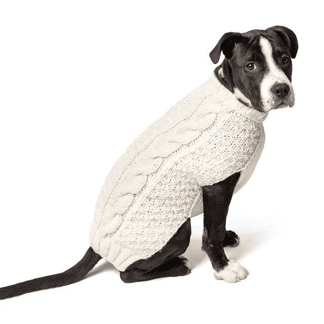 Chilly Dog Natural Cable Knit Wool Sweater - Image 4