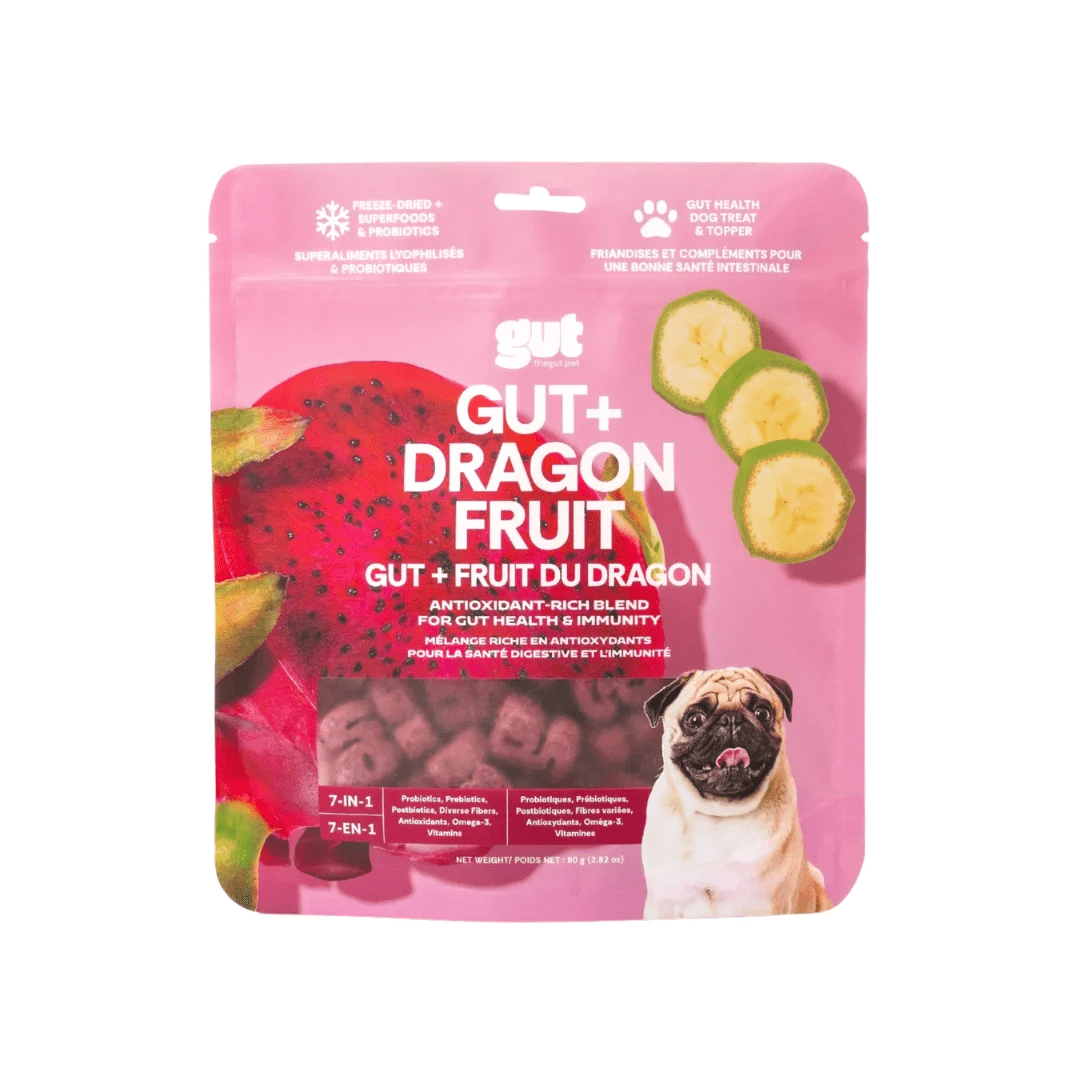 Gut + Dragon Fruit