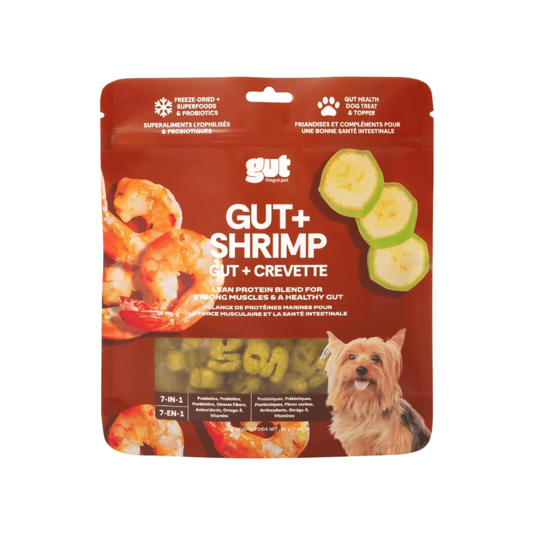 Gut + Shrimp