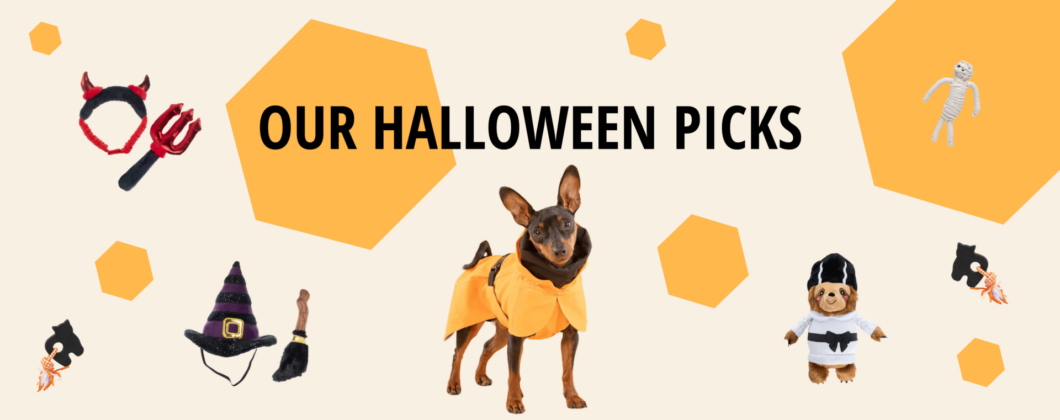 halloween banner 2026